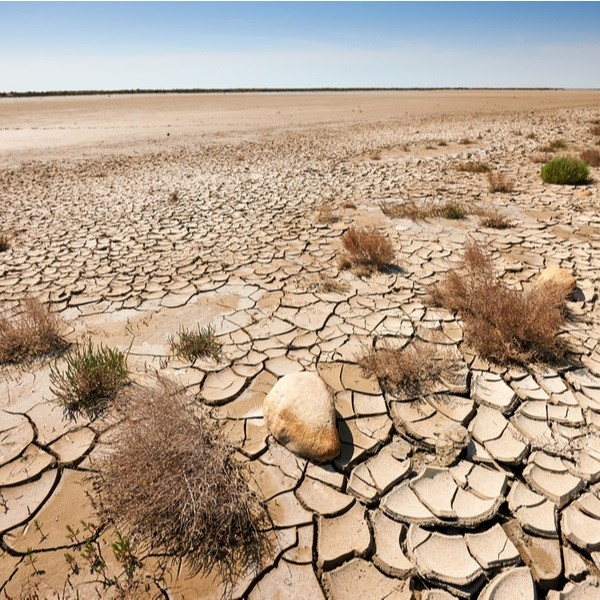 I cambiamenti climatici - img principale