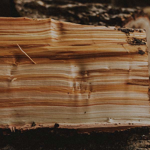 legno legno