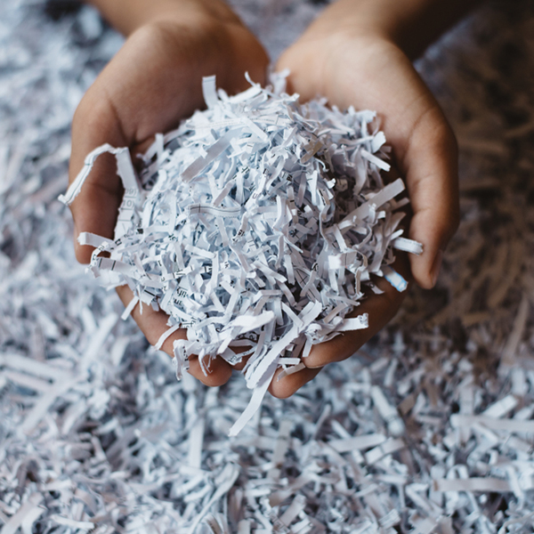 Hand,Showing,Heap,Of,Shredded,Paper.,Concept,Of,Recycle,And hand showing heap of shredded paper. Concept of recycle and office work of confidential
