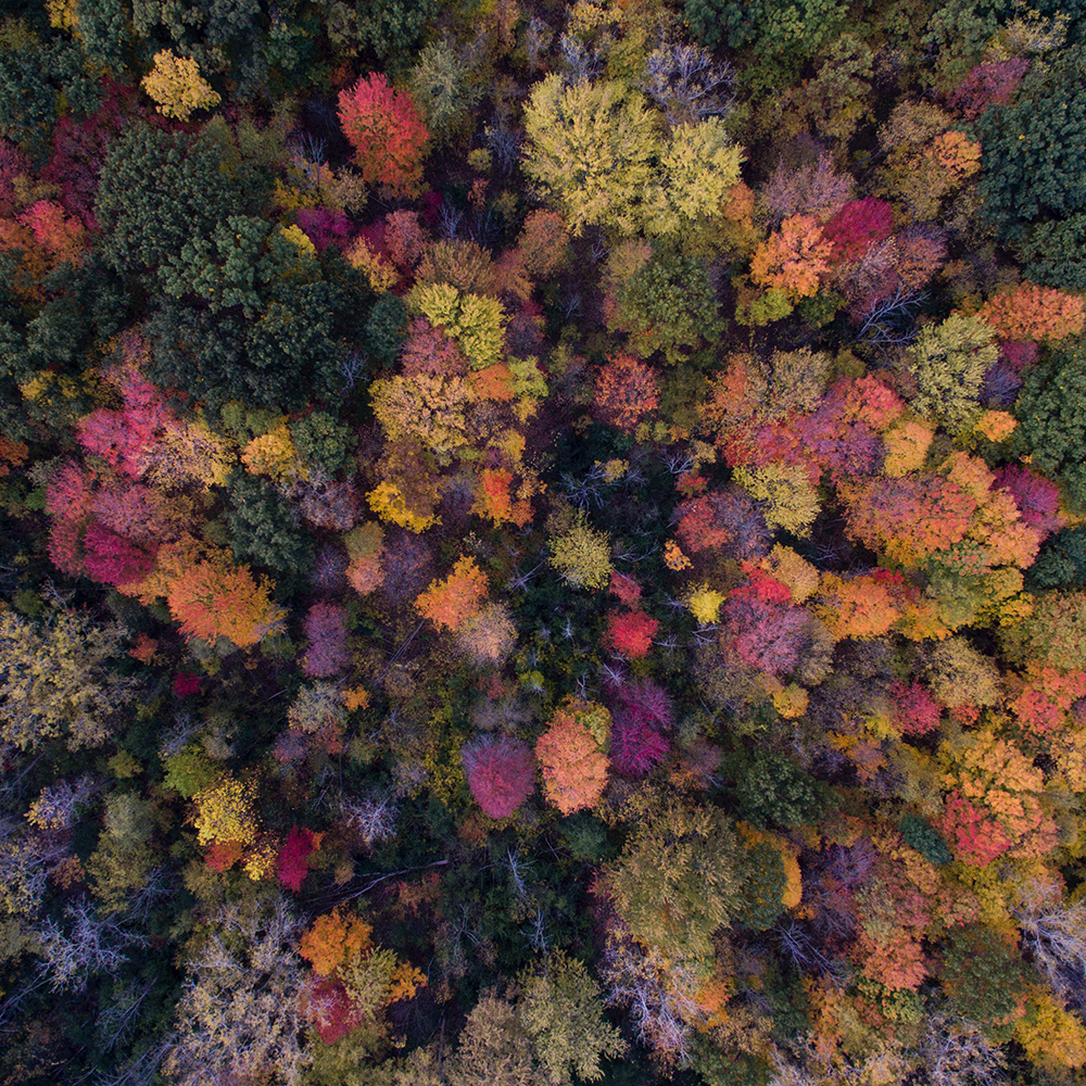 aaron-burden-YcjuitSsPIw-unsplash