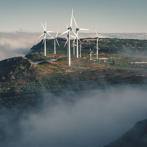 fabian-wiktor-pPITJDEYR78-unsplash-1