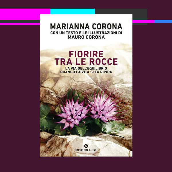 fiorire-tra-le-rocce