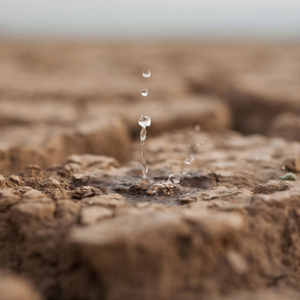Water,Drop,To,Dry,Cracked,Land,Metaphor,Lack,Of,Rain,